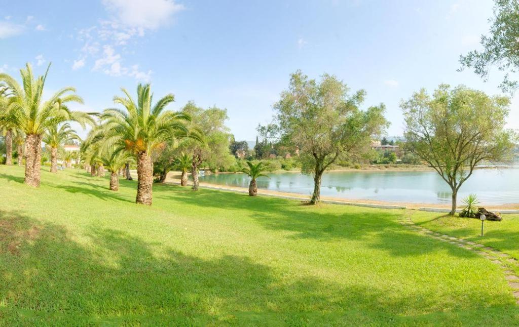 Palm Tree Corfu Apt. Danilia Ngoại thất bức ảnh